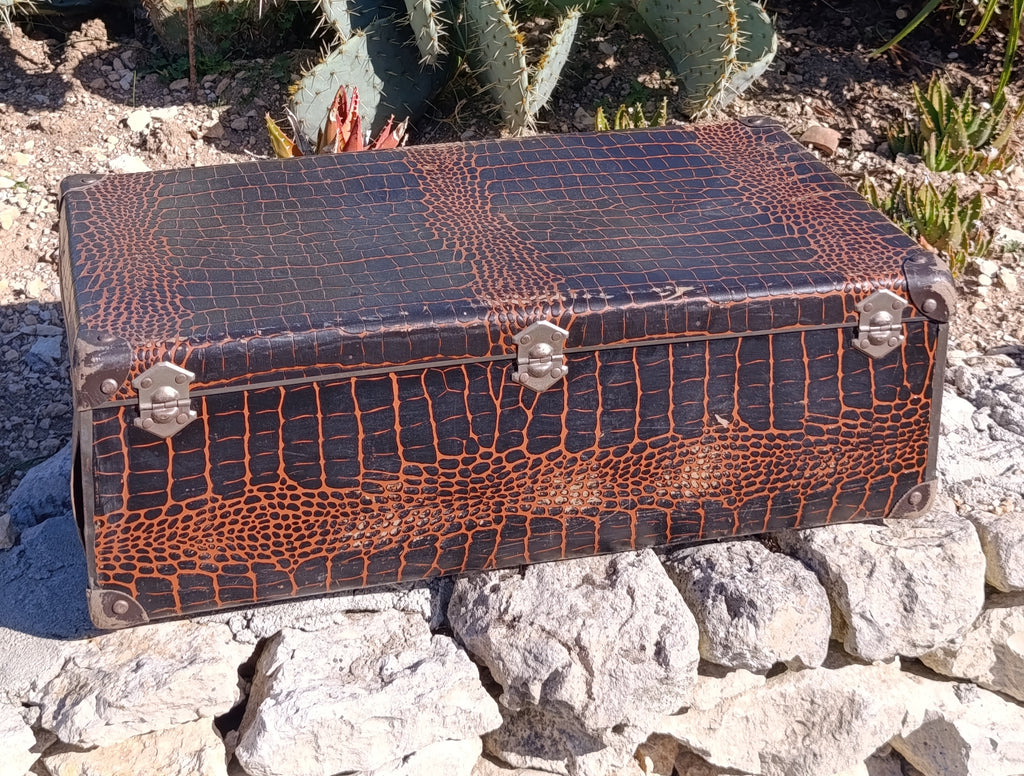 Valise vintage