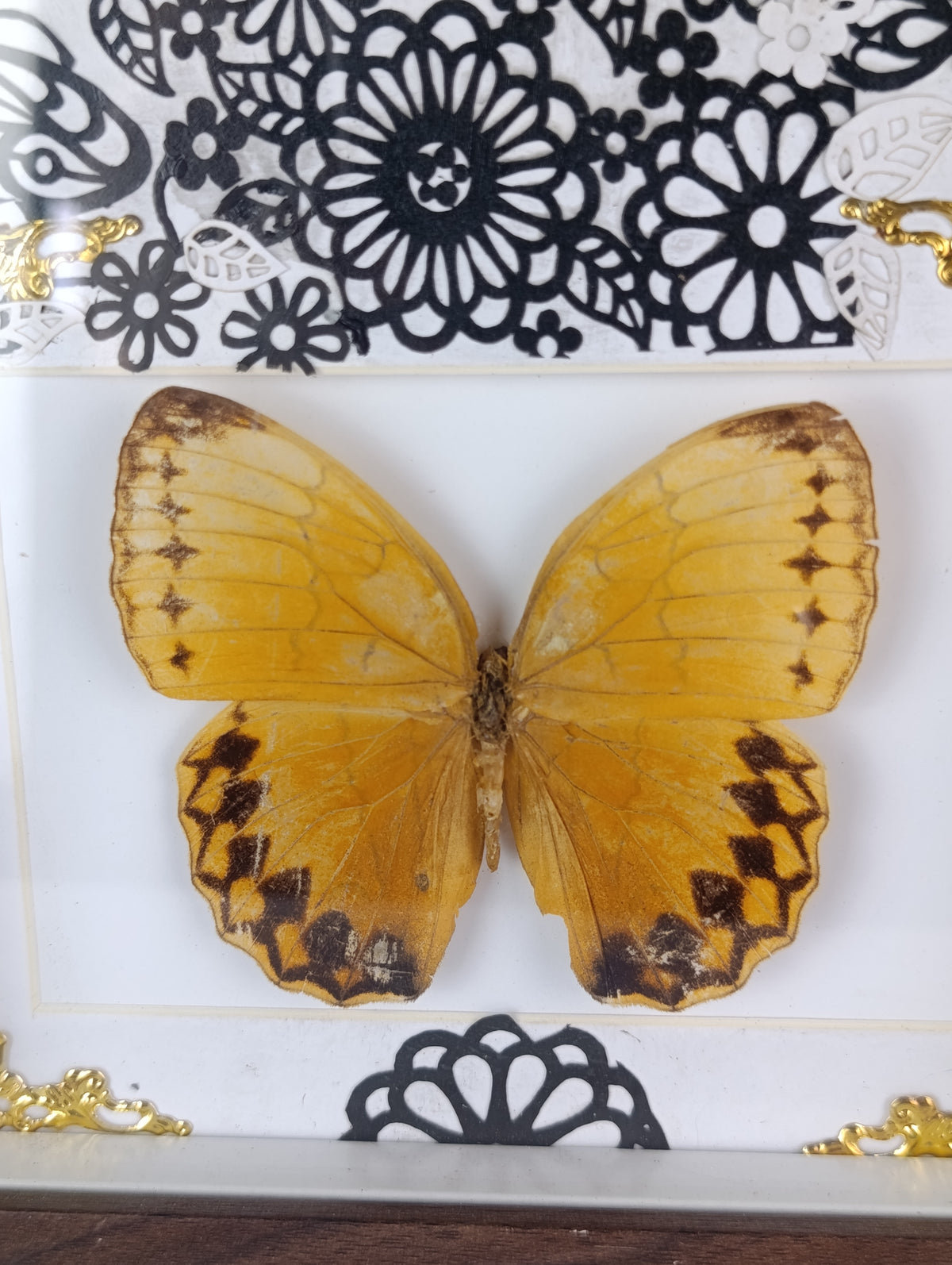 Cadre décoré papillon