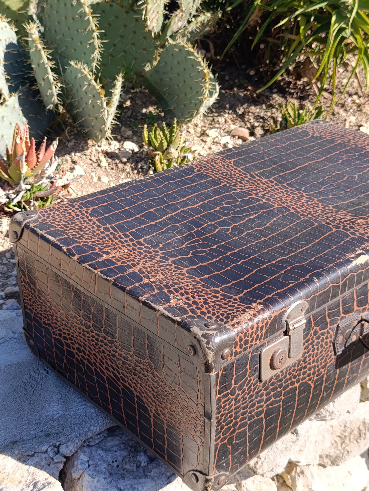 Valise vintage