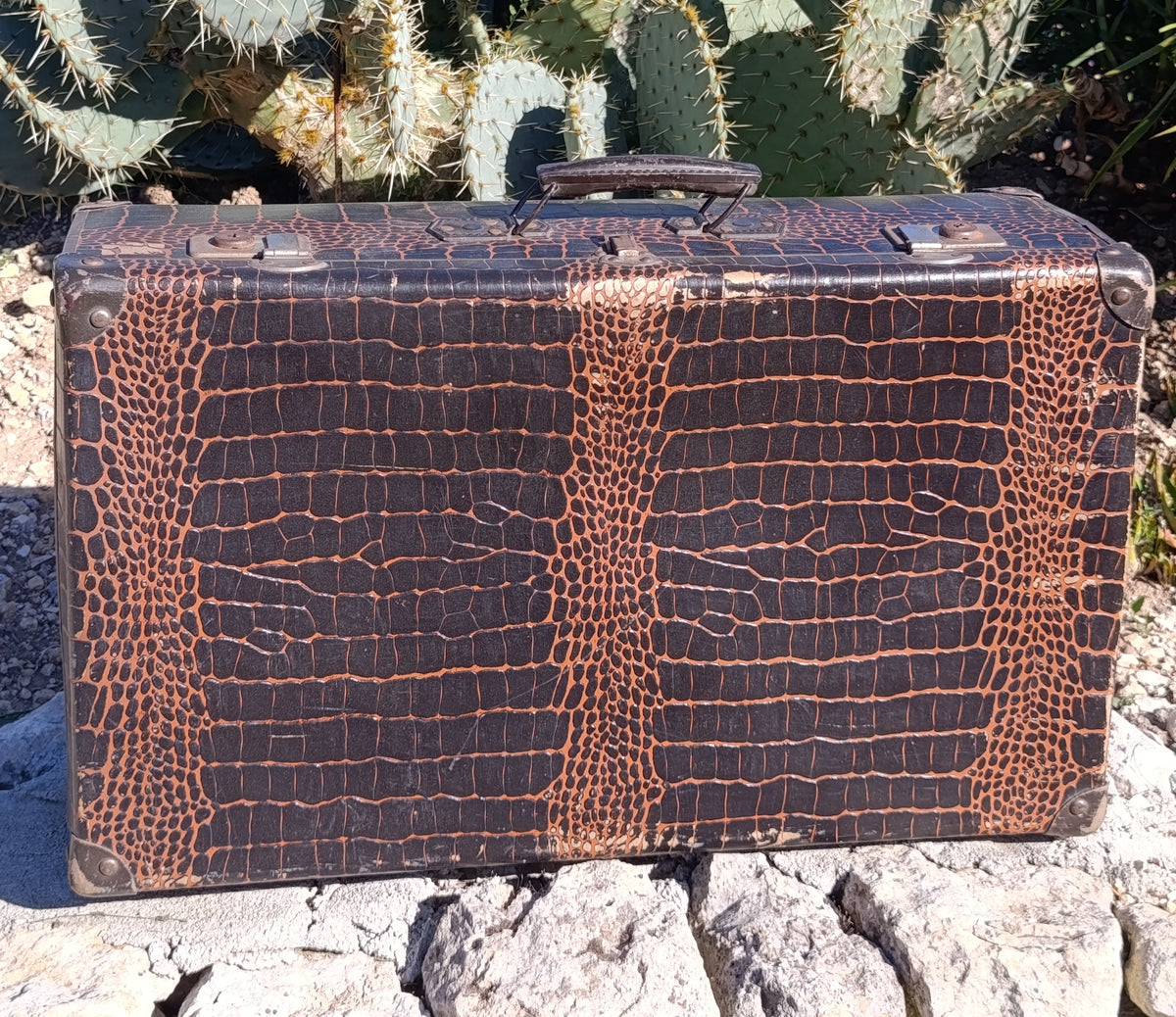 Valise vintage