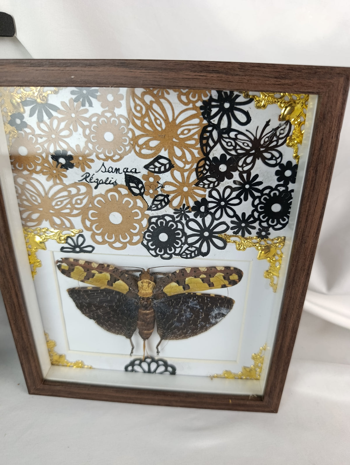 Cadre déco sauterelle