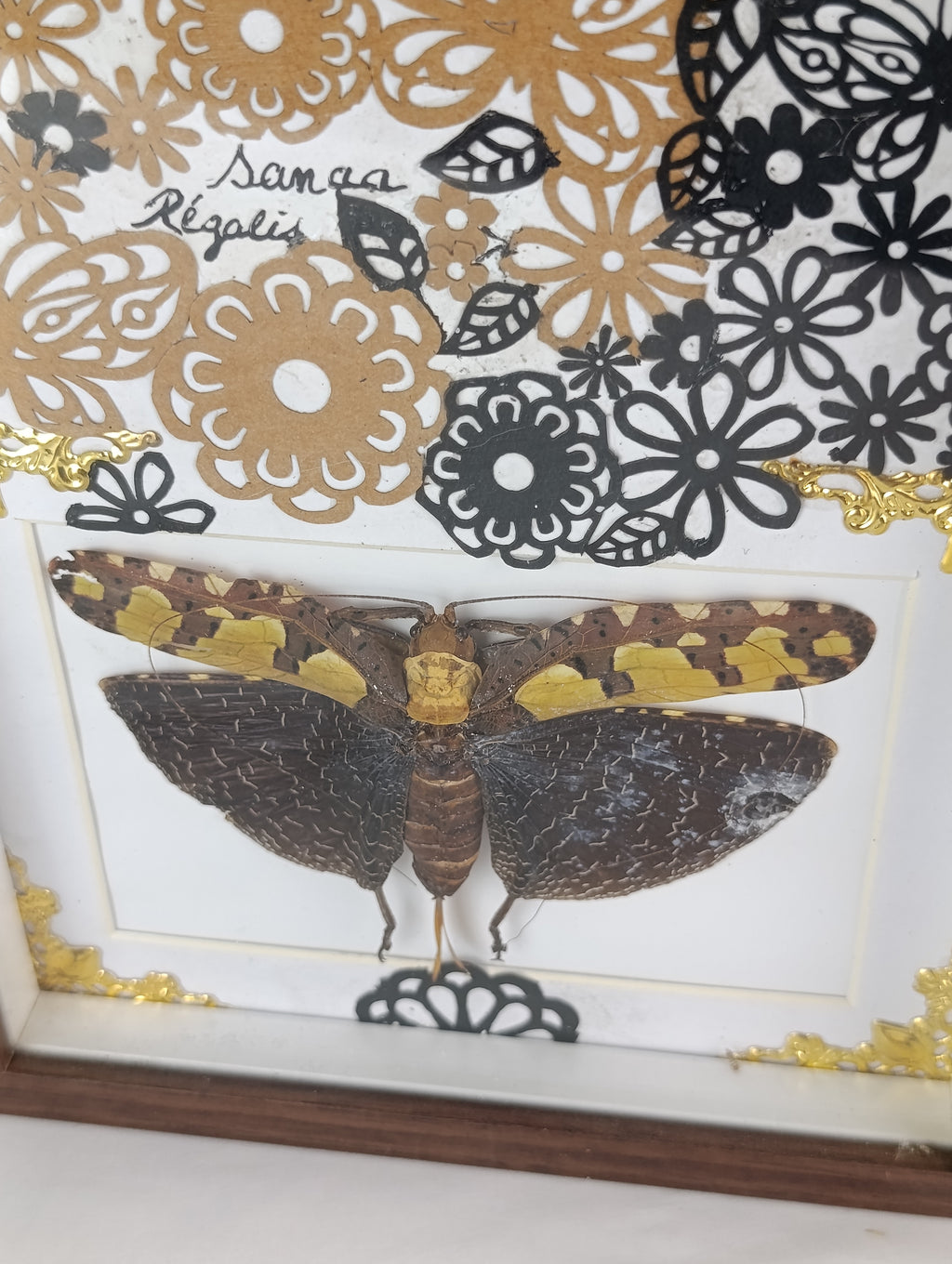 Cadre déco sauterelle