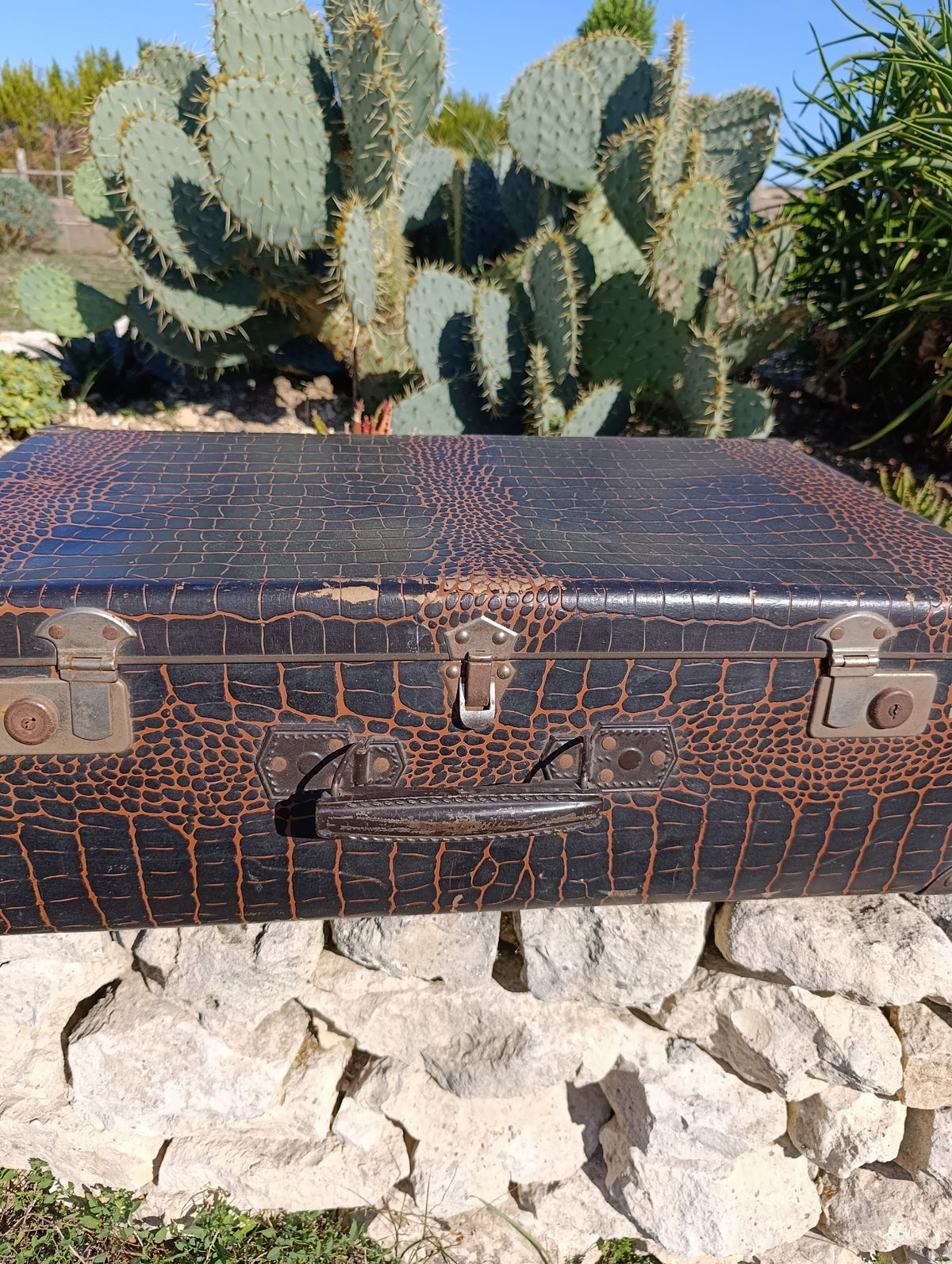 Valise vintage
