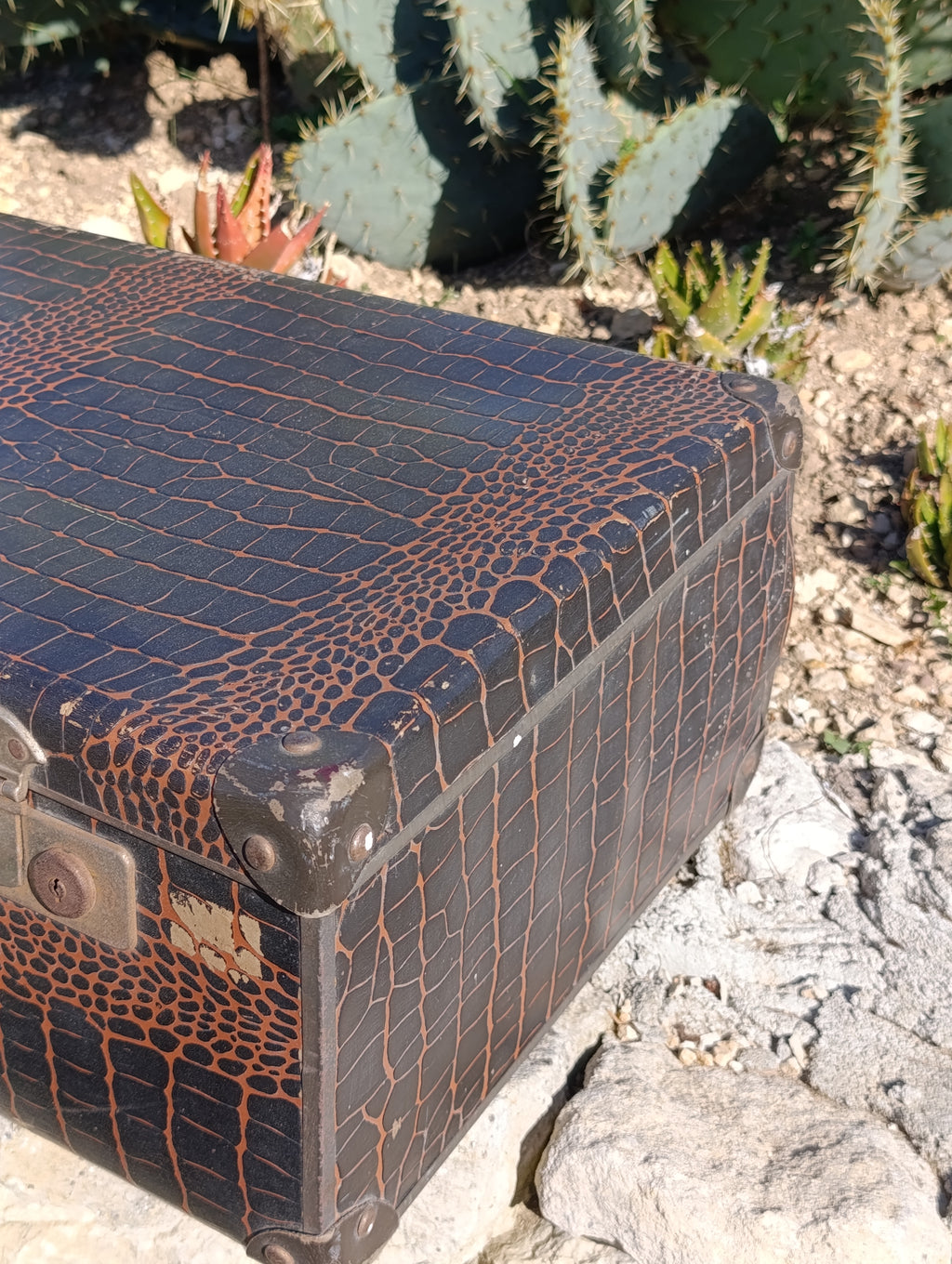 Valise vintage