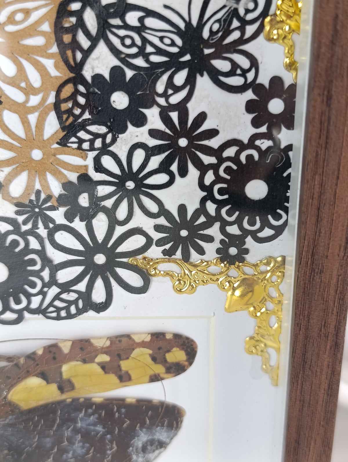 Cadre déco sauterelle