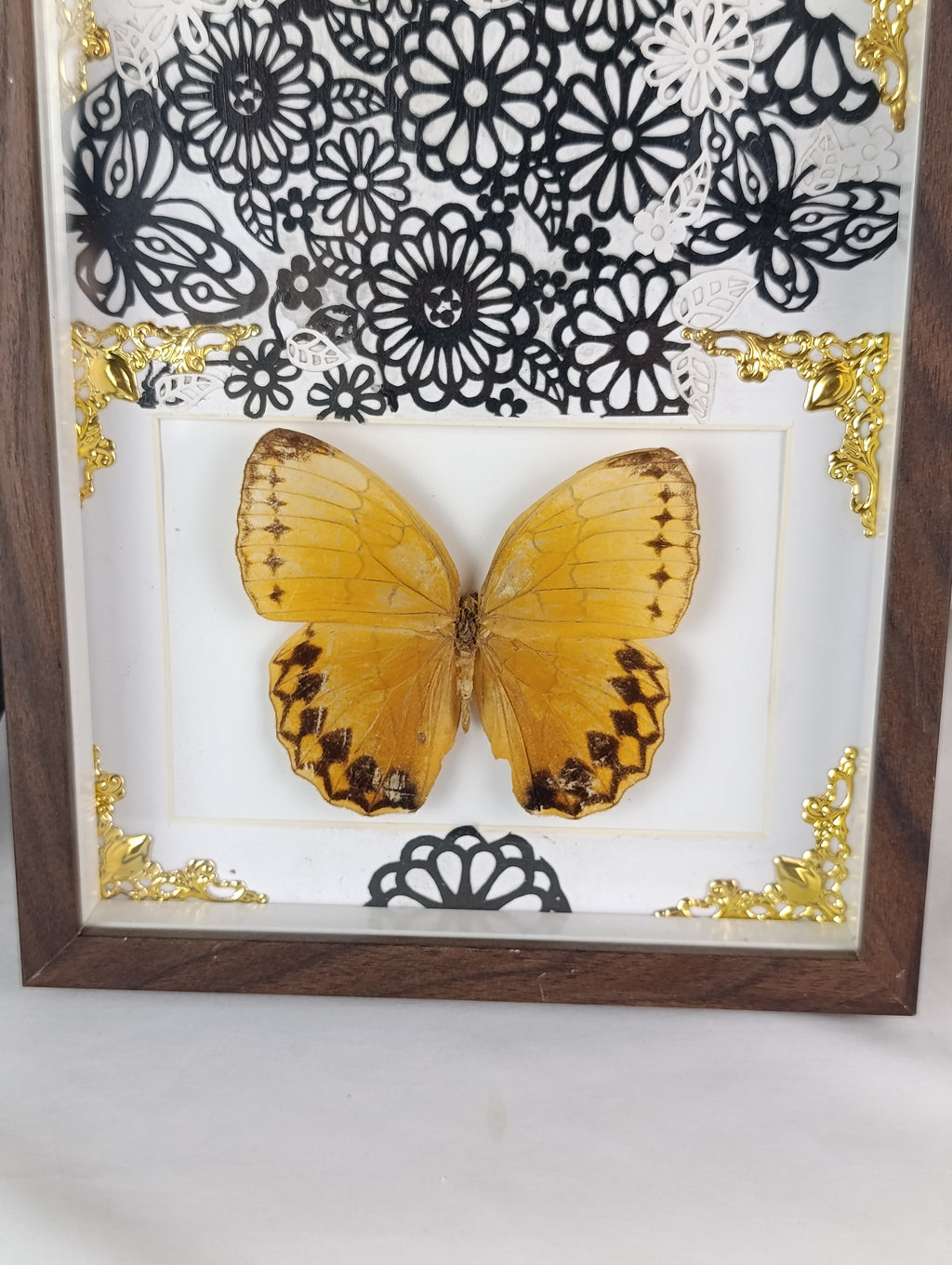 Cadre décoré papillon
