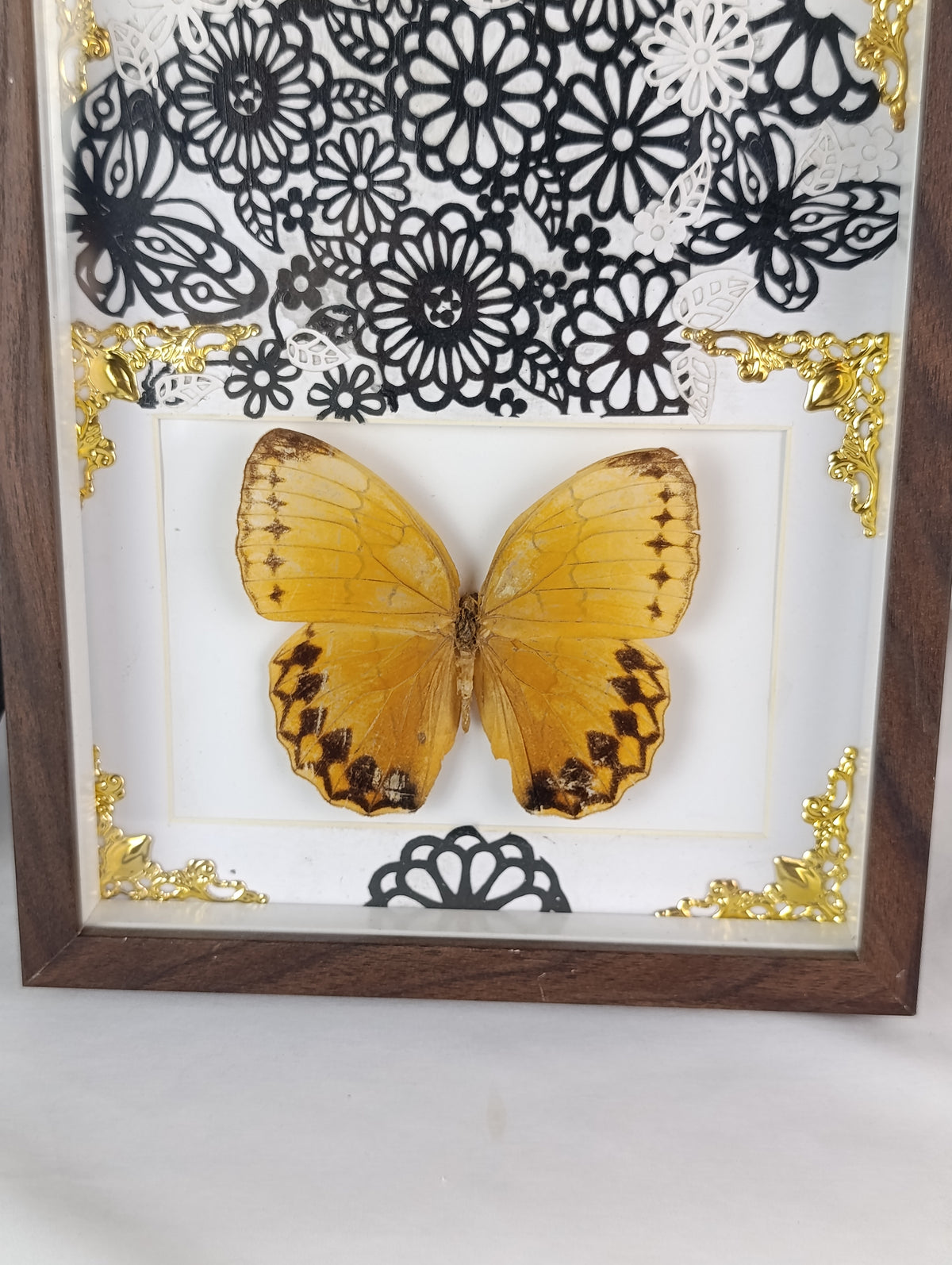 Cadre décoré papillon