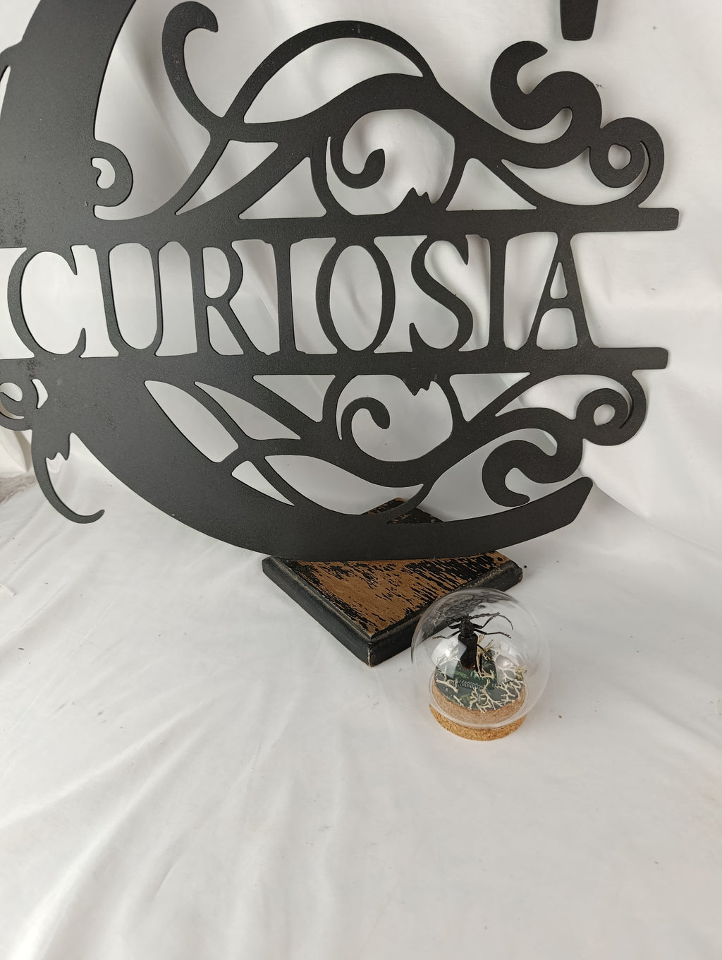 Globe capricorne