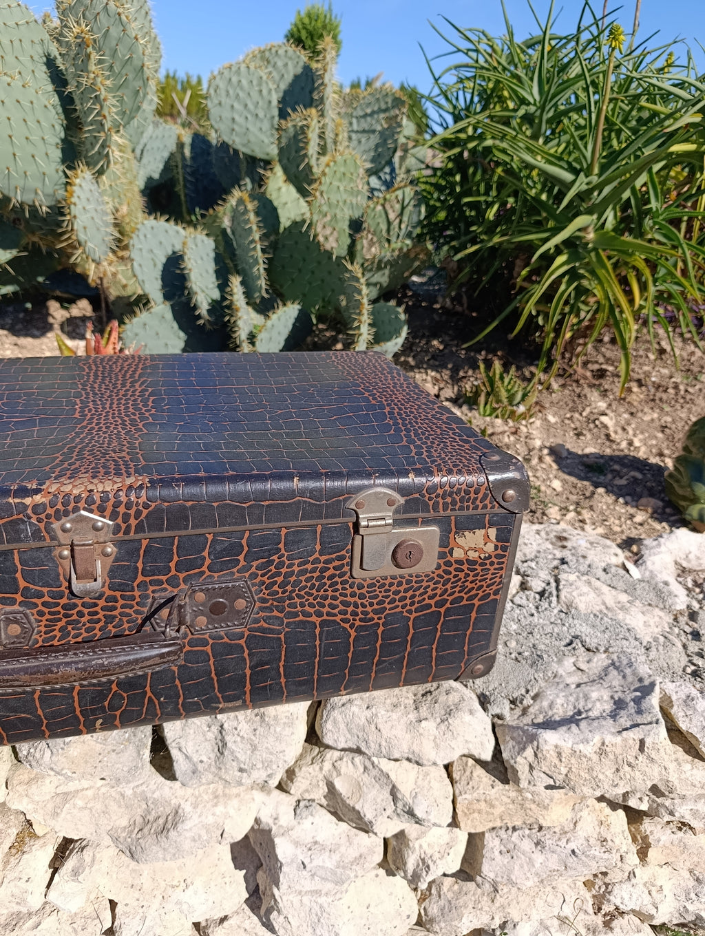 Valise vintage